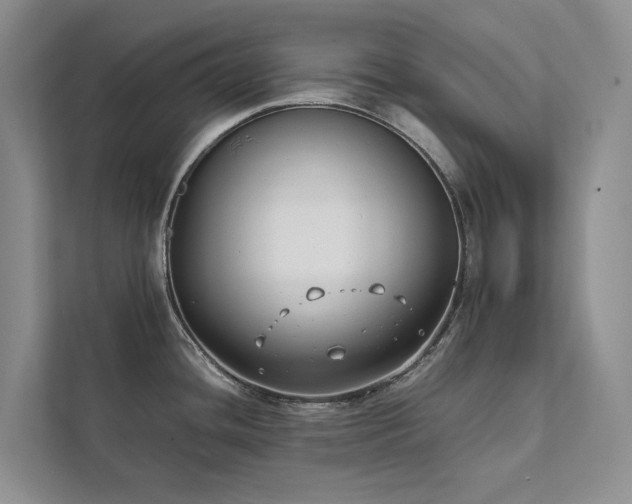 X0000111781436200907231114