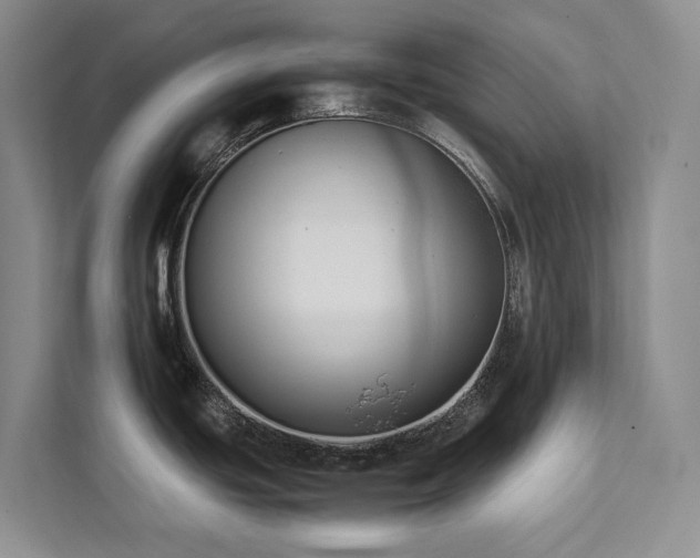 X0000111781439200907231114
