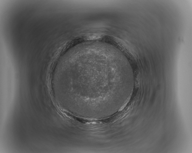 X0000111781441200907231113