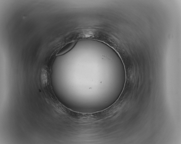 X0000111781442200907231113