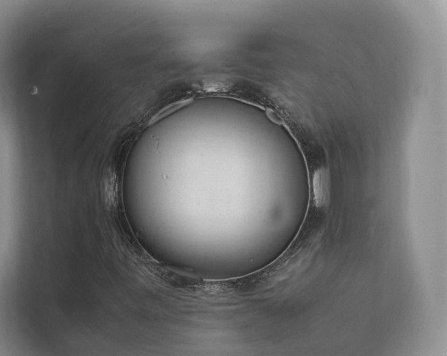 X0000111781443200907231113
