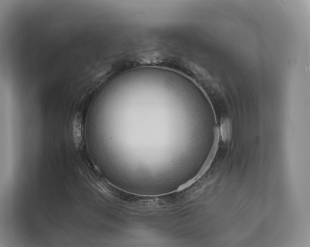 X0000111781444200907231113