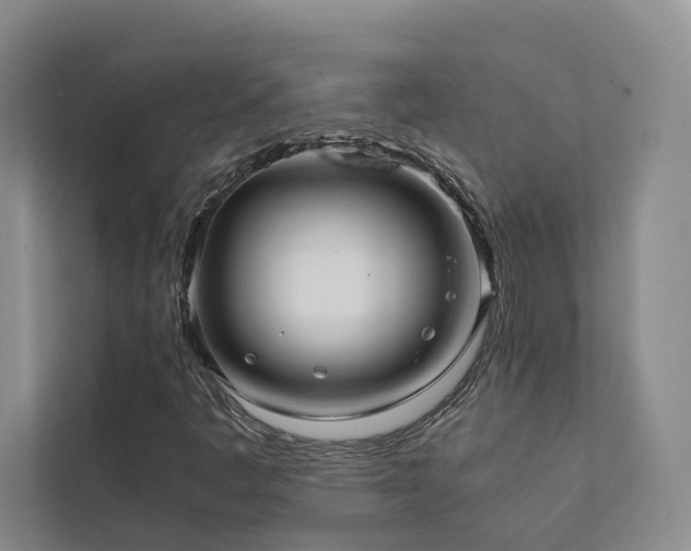 X0000111781445200907231113