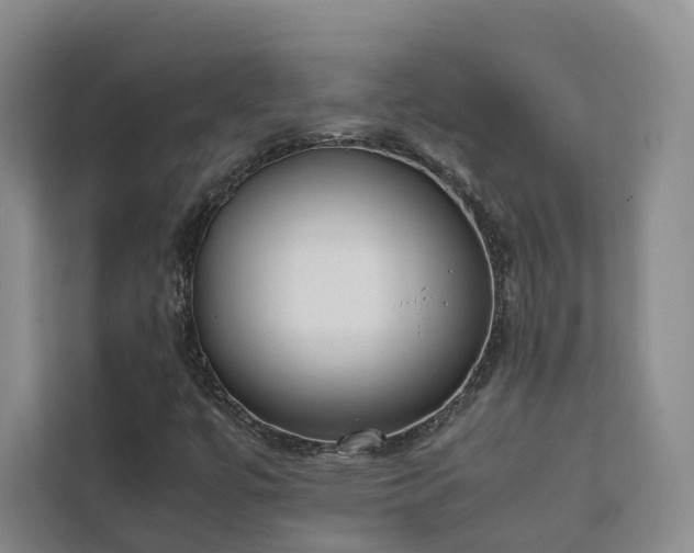 X0000111781447200907231113