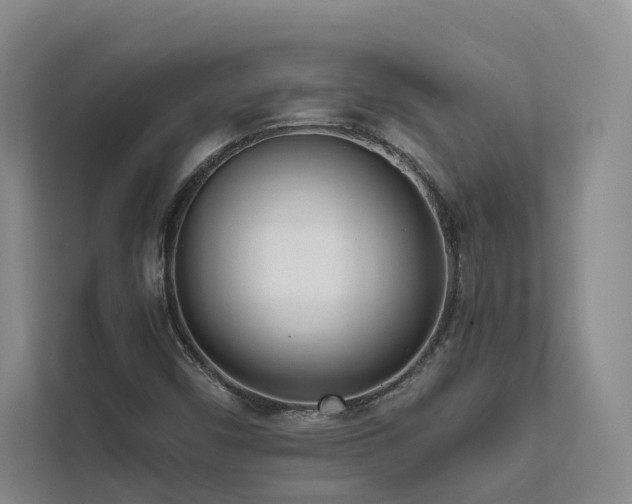 X0000111781450200907231113
