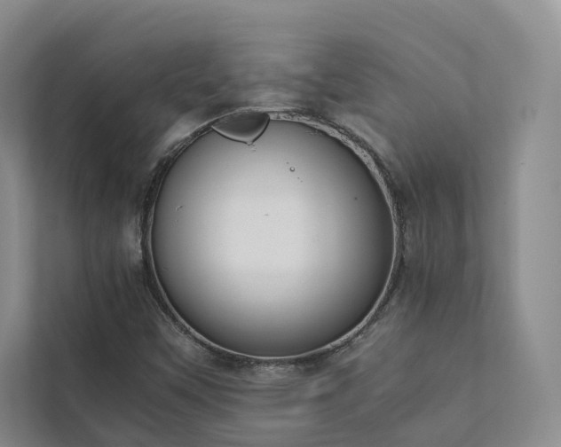 X0000111781451200907231113
