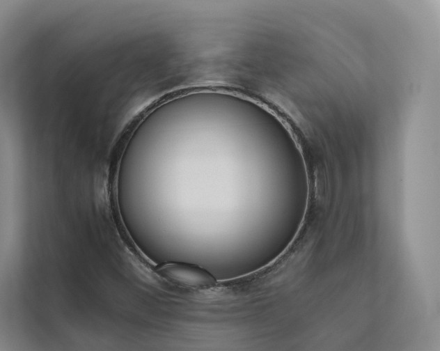 X0000111781452200907231113