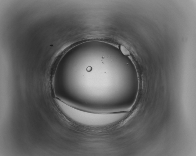 X0000111781453200907231113