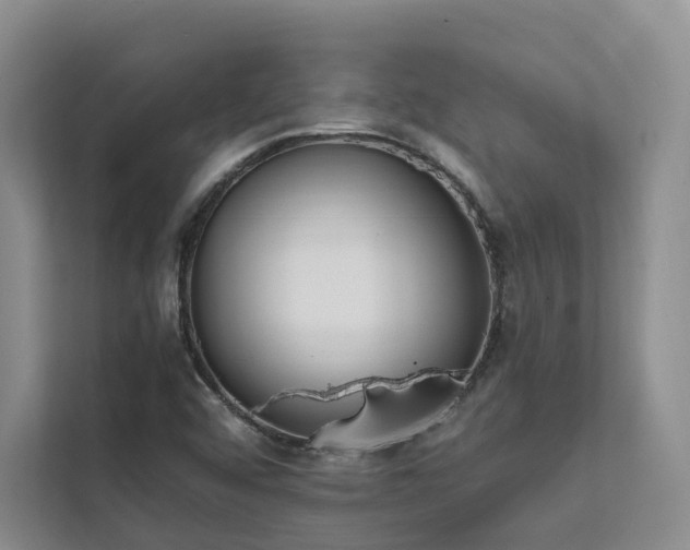 X0000111781456200907231113