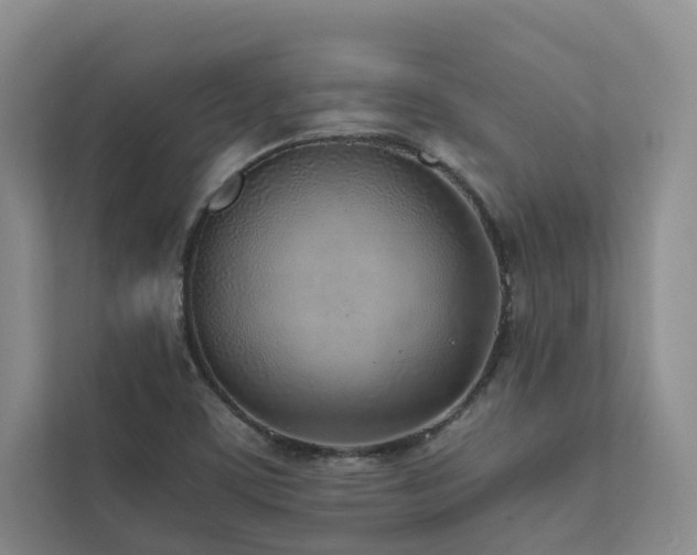 X0000111781459200907231113