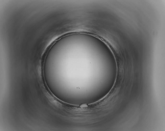 X0000111781460200907231113