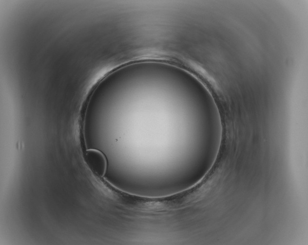 X0000111781463200907231113
