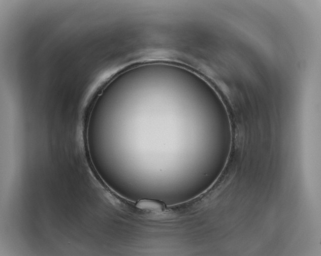 X0000111781464200907231113