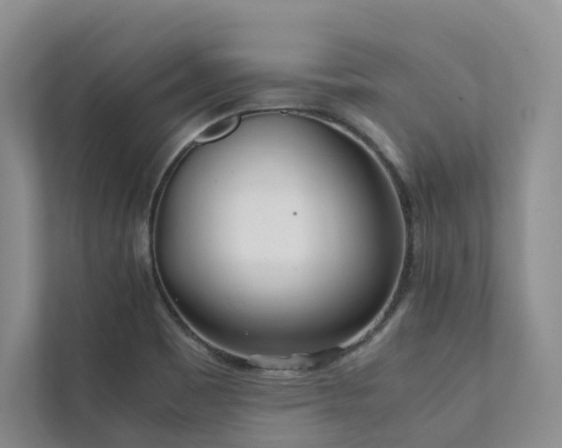 X0000111781465200907231113