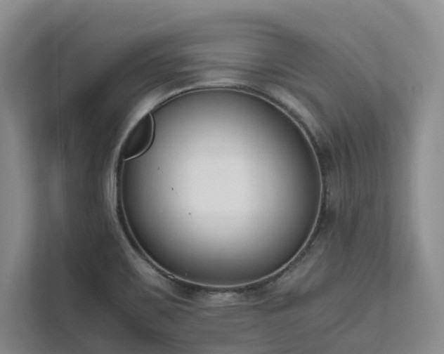 X0000111781467200907231113