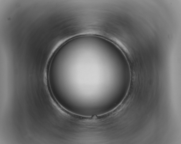X0000111781468200907231113