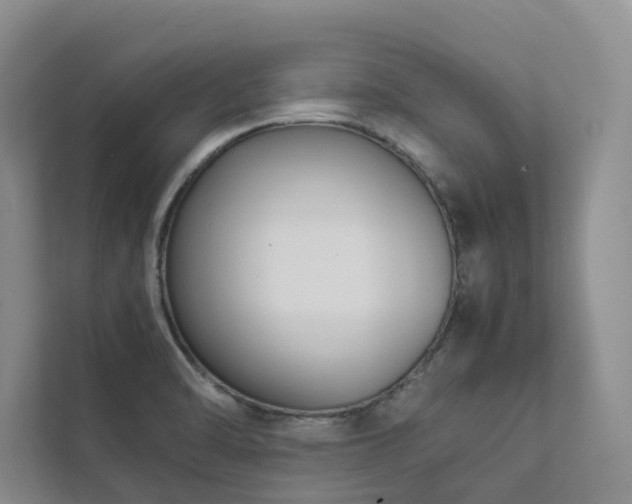 X0000111781470200907231113