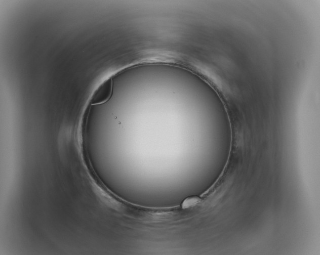X0000111781471200907231113