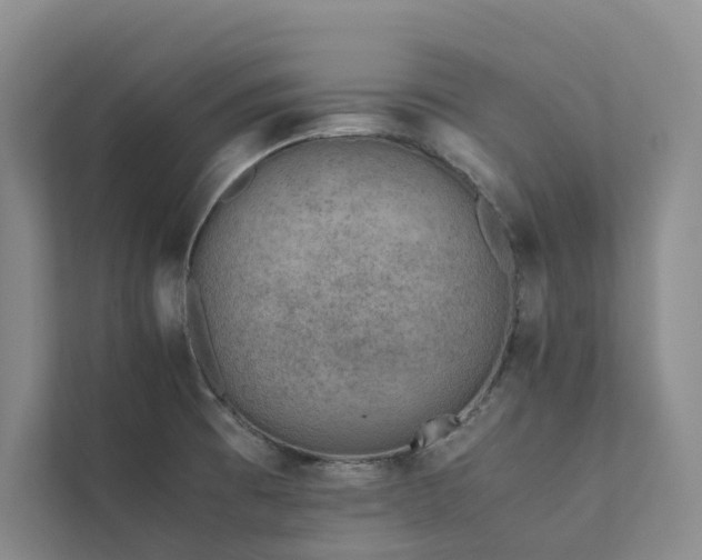 X0000111781473200907231113