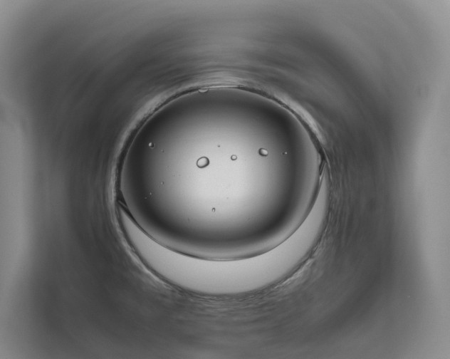 X0000111781477200907231113