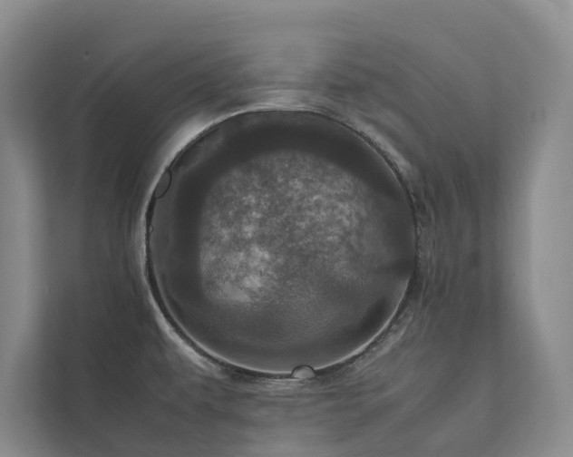 X0000111781479200907231113