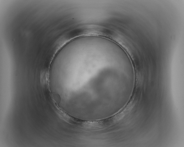 X0000111781481200907231113