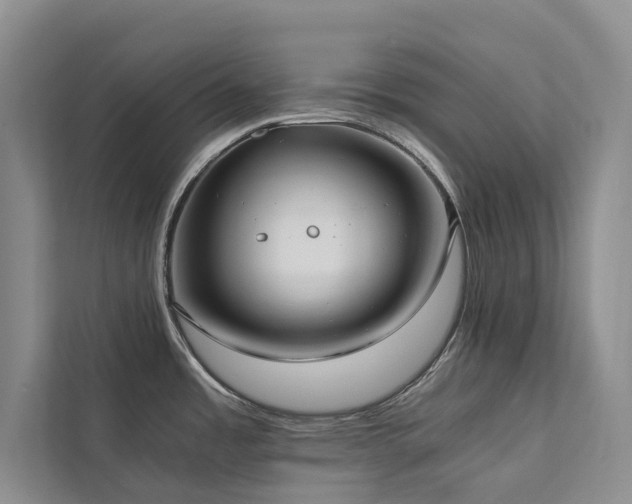 X0000111781485200907231112