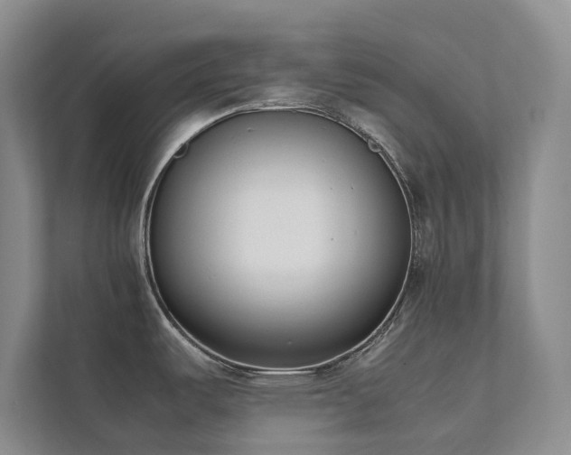 X0000111781487200907231112