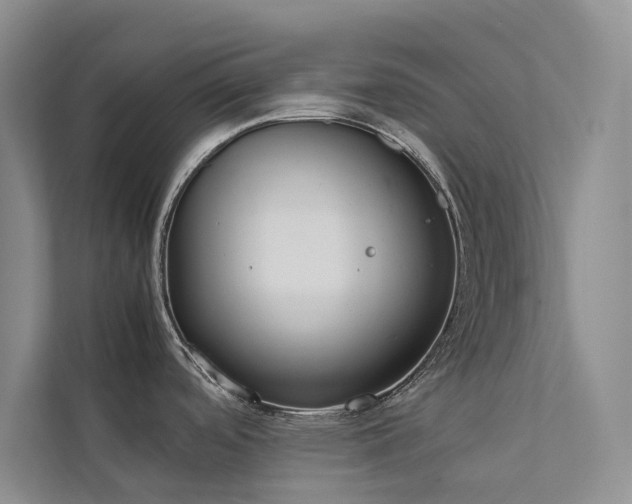 X0000111781488200907231112