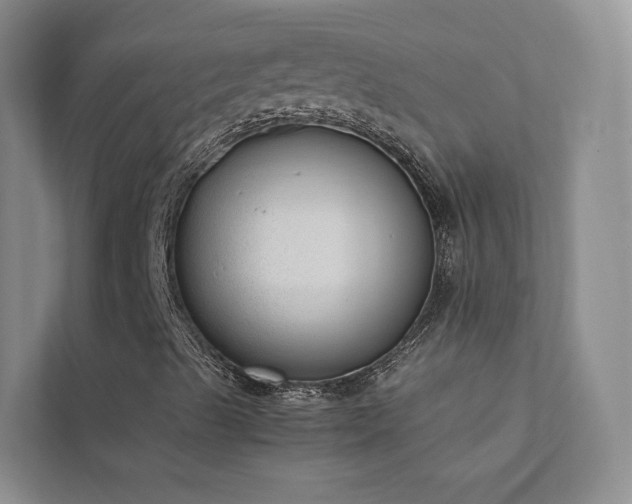 X0000111781489200907231112