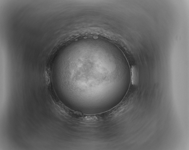 X0000111781491200907231112