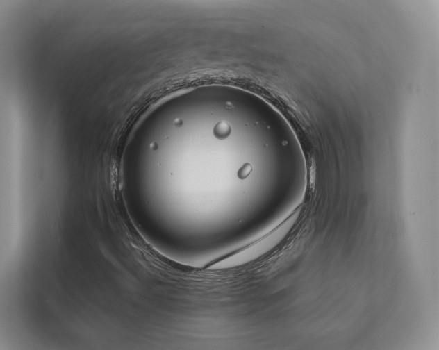 X0000111781492200907231112