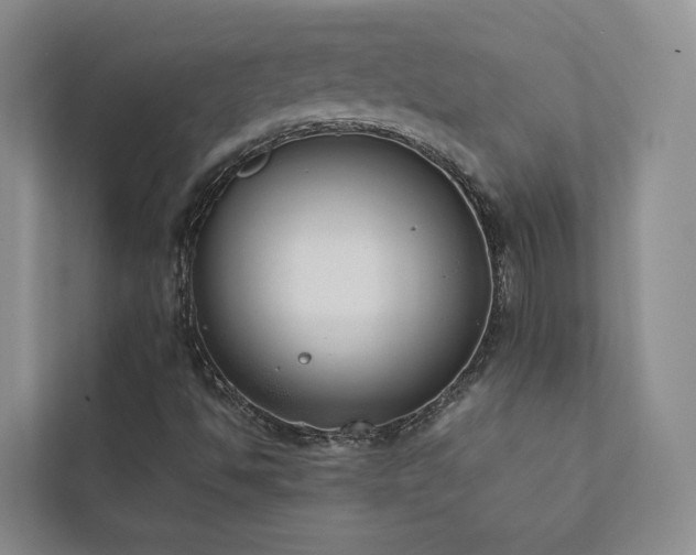 X0000111781494200907231112