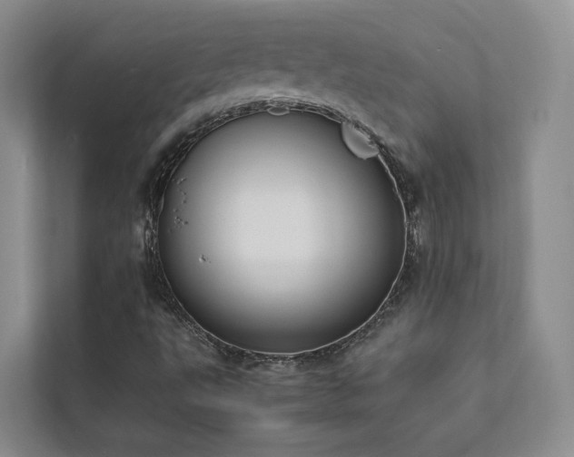 X0000111781495200907231112