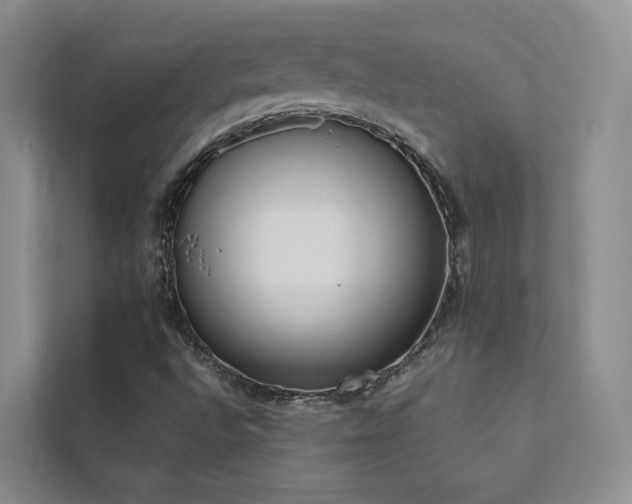 X0000111781496200907231112