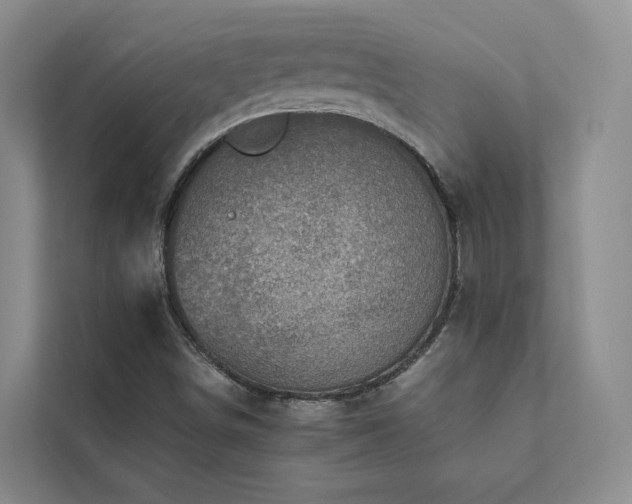 X0000111781498200907231112