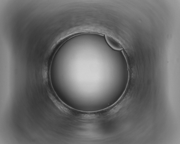 X0000111781499200907231112