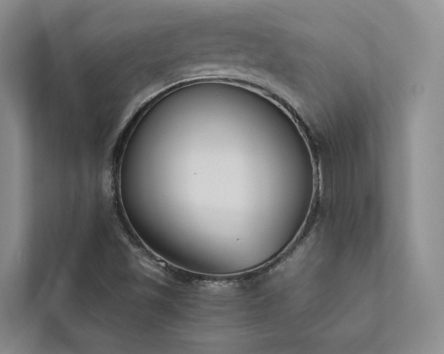 X0000111781501200907231112