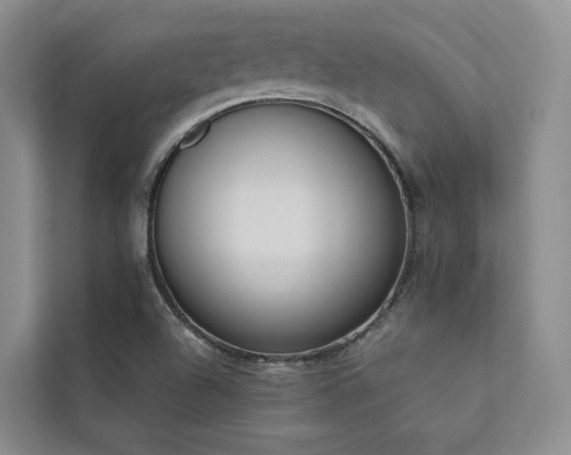 X0000111781504200907231112