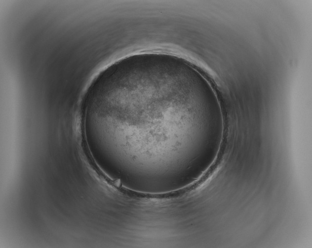 X0000111781506200907231112