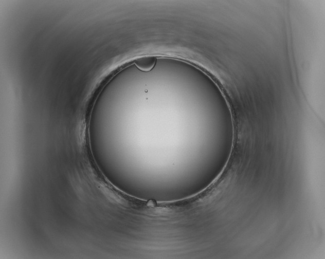 X0000111781507200907231112