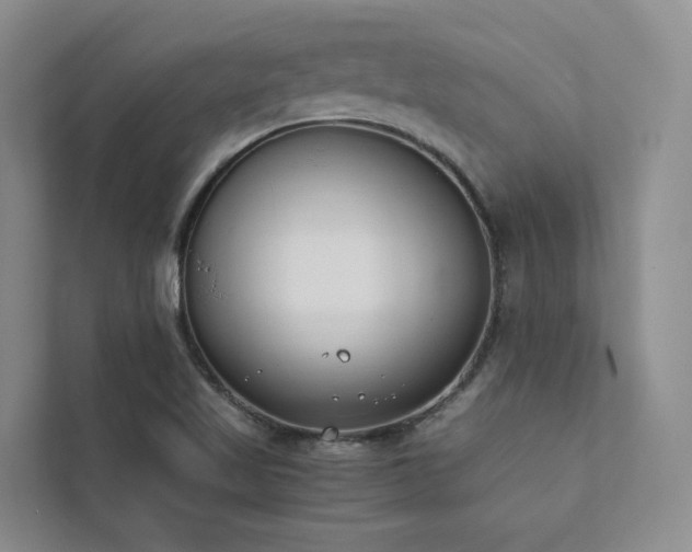 X0000111781509200907231112