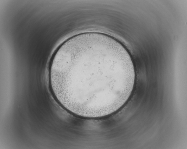 X0000111781514200907231112