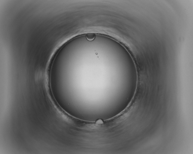 X0000111781517200907231112