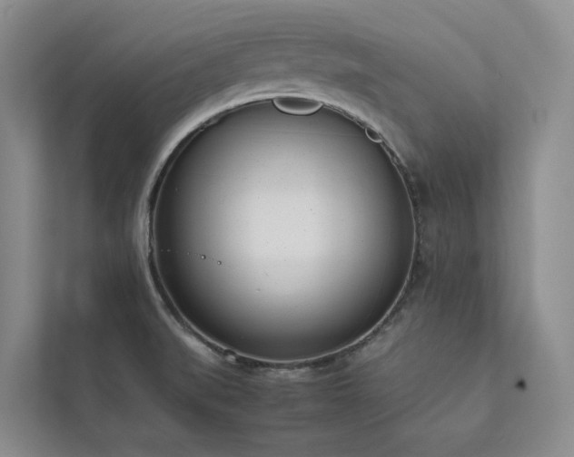 X0000111781519200907231112