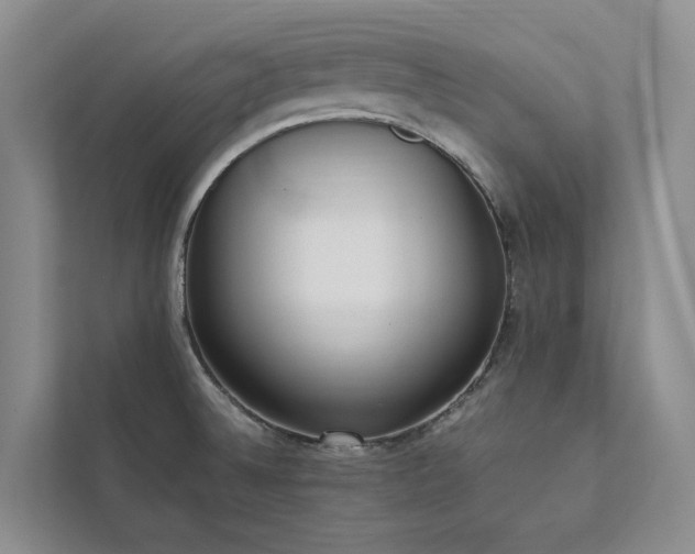 X0000111781524200907231112