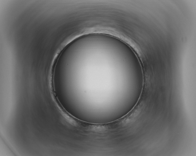 X0000111781525200907231112