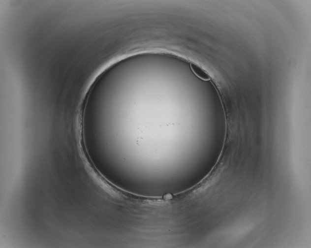X0000111781526200907231112