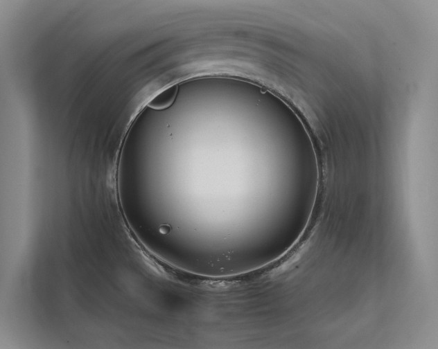 X0000111781529200907231112