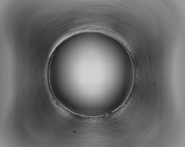 X0000111781530200907231112